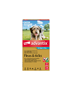 Advantix 6 hot sale pack