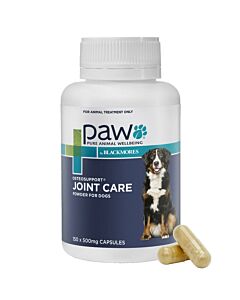 Best dog outlet joint supplement australia