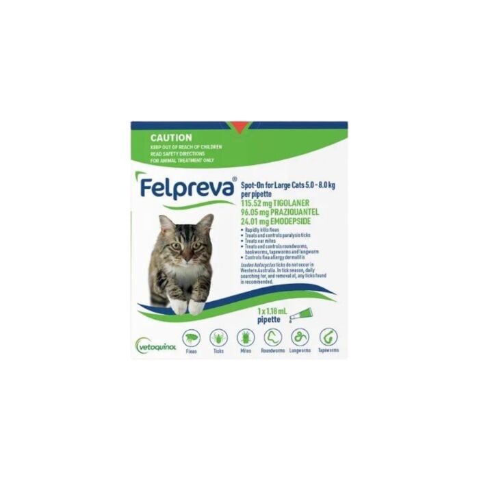 Felpreva Spot On Cat Large 5-8kg Green VetShopAustralia