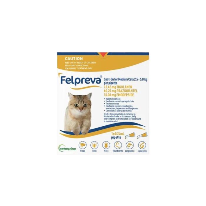 Felpreva Spot On Cat Medium 2.5-5kg Yellow VetShopAustralia