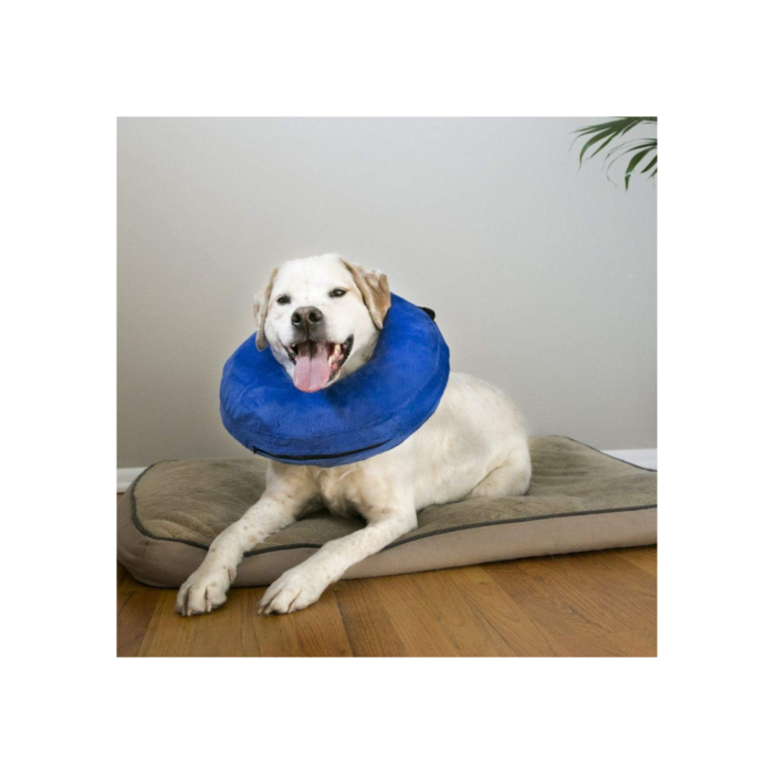 KONG Cloud Recovery Collar VetShopAustralia