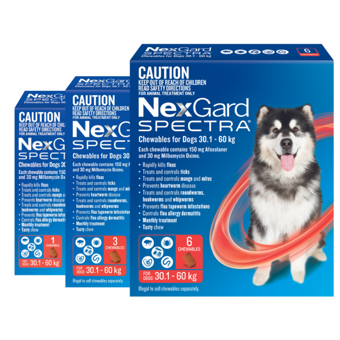 NexGard Spectra Dog Extra Large 30.1 60kg Red VetShopAustralia