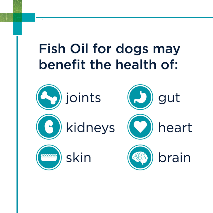 Blackmores fish hotsell oil for dogs