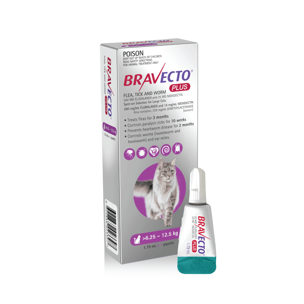 Bravecto for best sale cats australia