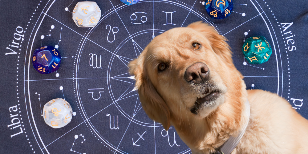 blog-dog_horoscopes.png