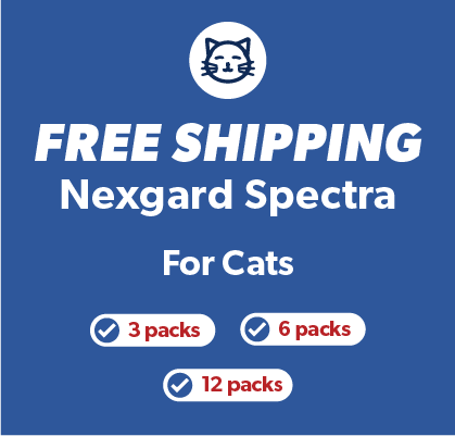 Nexgard Spectra Spot On Cat