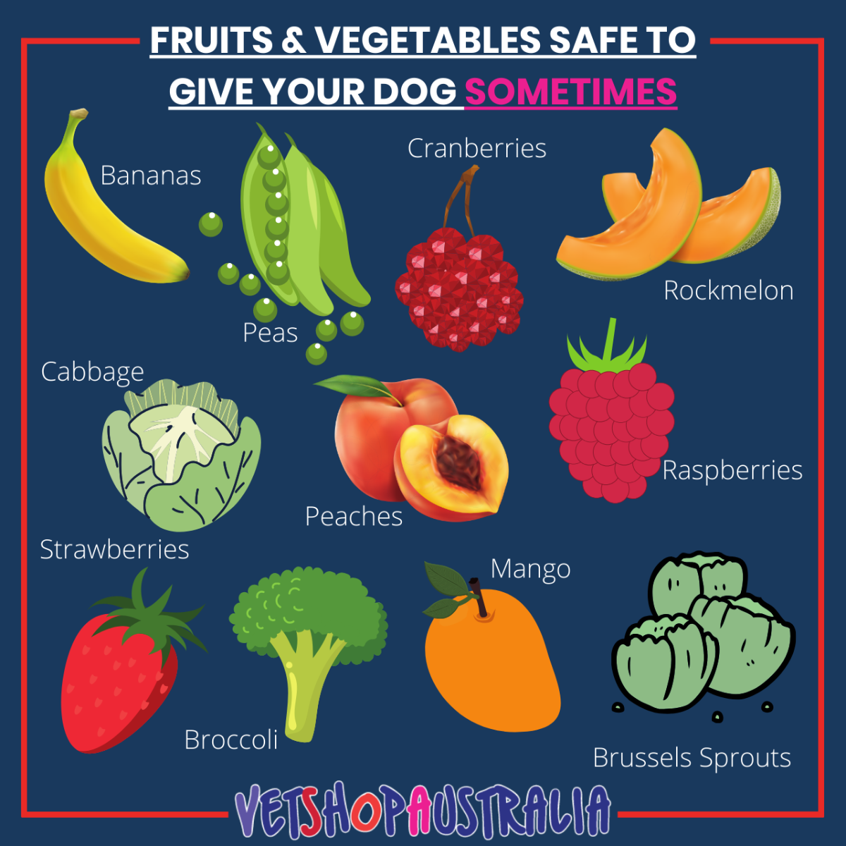 Fruits and vegetables 2025 good for dogs