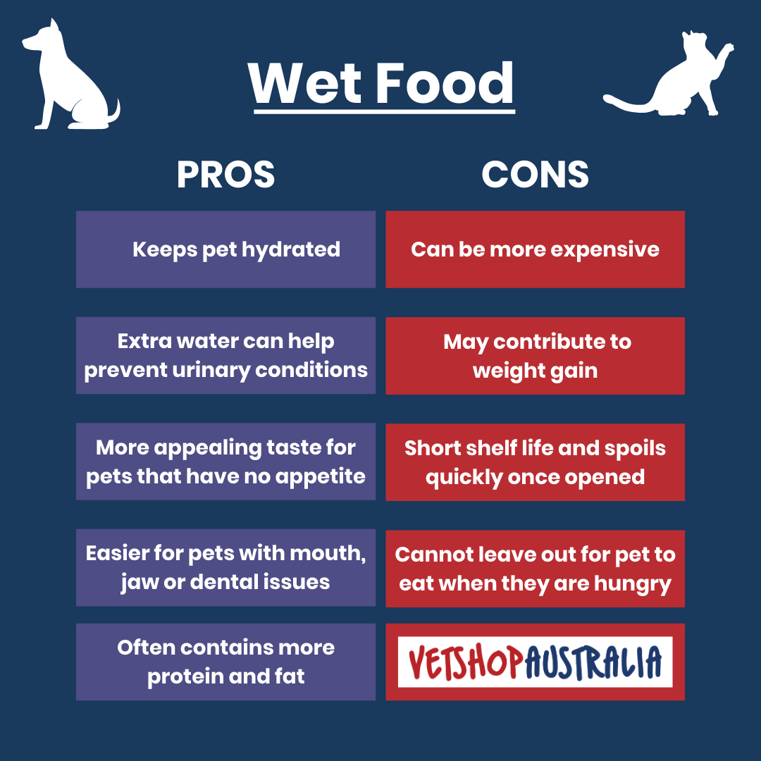 Wet or Dry Food Make an informed choice for your pet