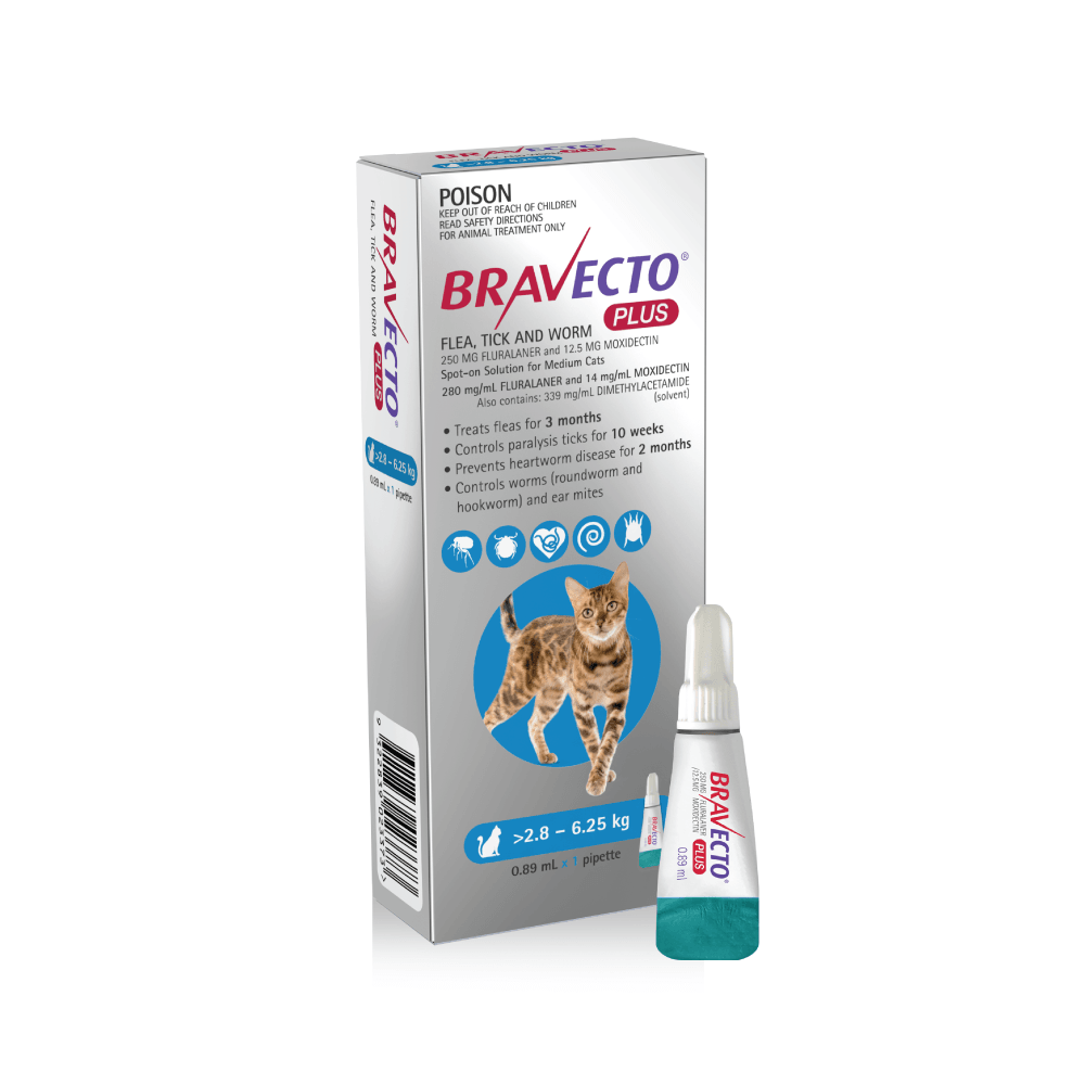 Bravecto clearance 2 pack