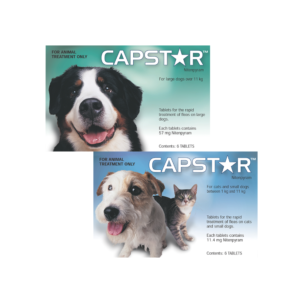 Capstar Flea Tablets VetShopAustralia