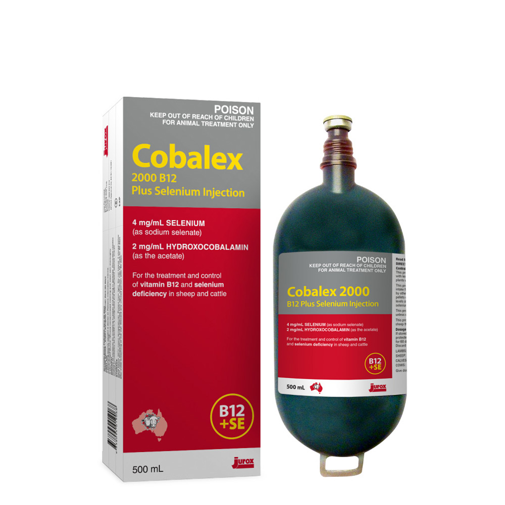 horse vitamin b12 injection B Complex | Supports Metabolism, Energy & Recovery ensuring your horse maintains a healthy and robust appetite for overall well CYANOCOBALAMIN Vitamin B12 Injectable Solution