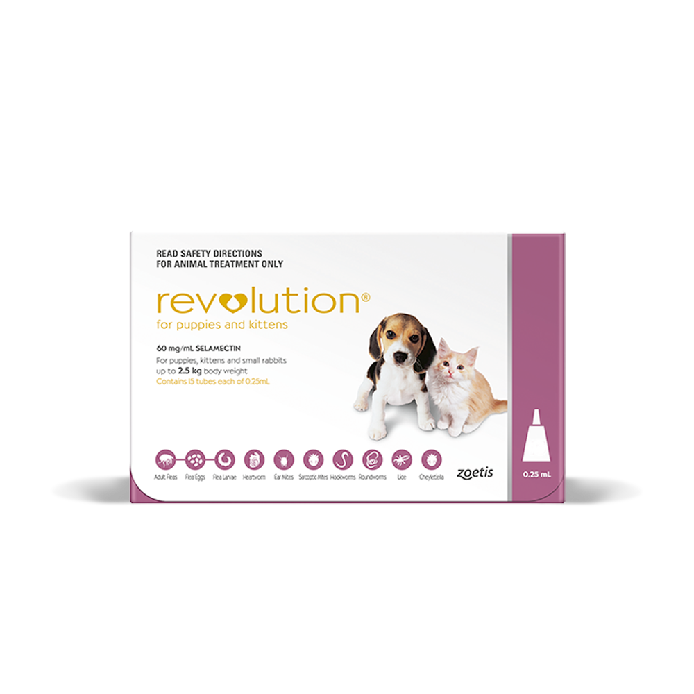 is revolution for dogs safe for cats